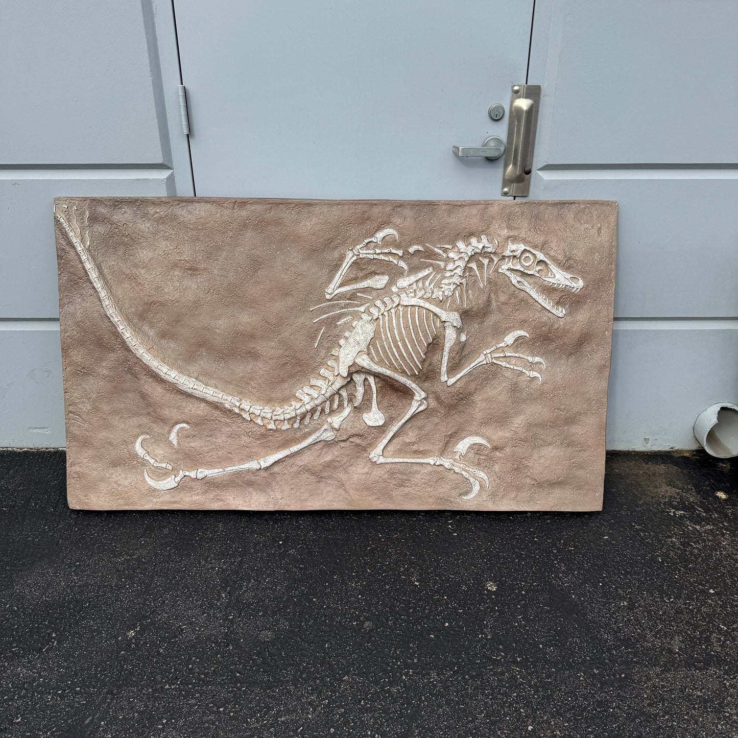 Velociraptor Dinosaur Skeleton Statue