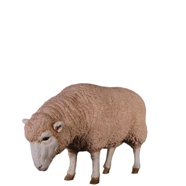 Merino Ewe Head Down Statue