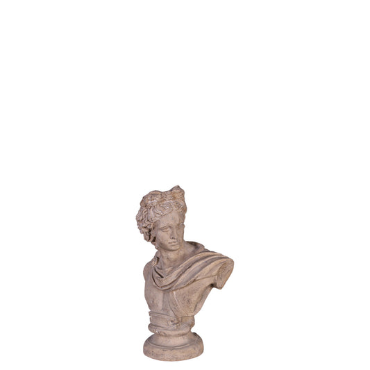 Julius Caesar Stone Bust Statue