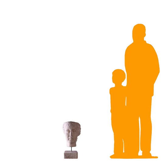 Aphrodite Stone Head Bust Statue M0248-030329-H