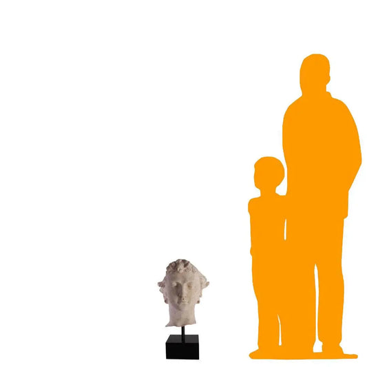 Stone David Head Statue M0136-030602-H