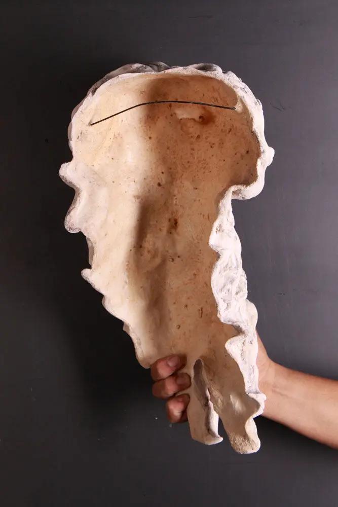 Stone Hercules Head Statue M0069-030607-H