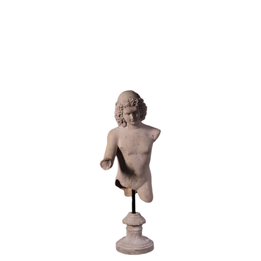Classical Boy Stone Bust Statue