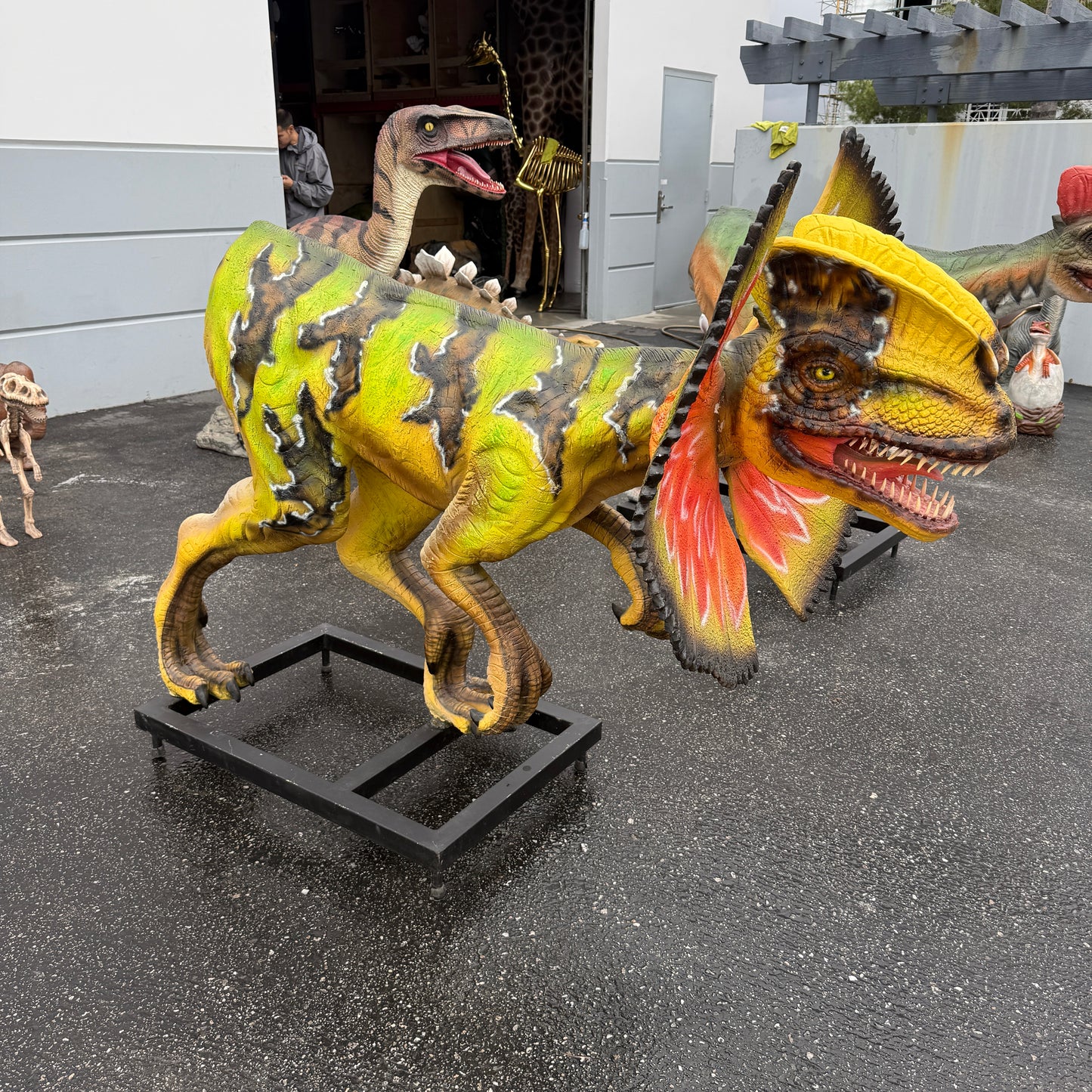 Venenifer with Dorsal Fin Dinosaur Life Size Statue