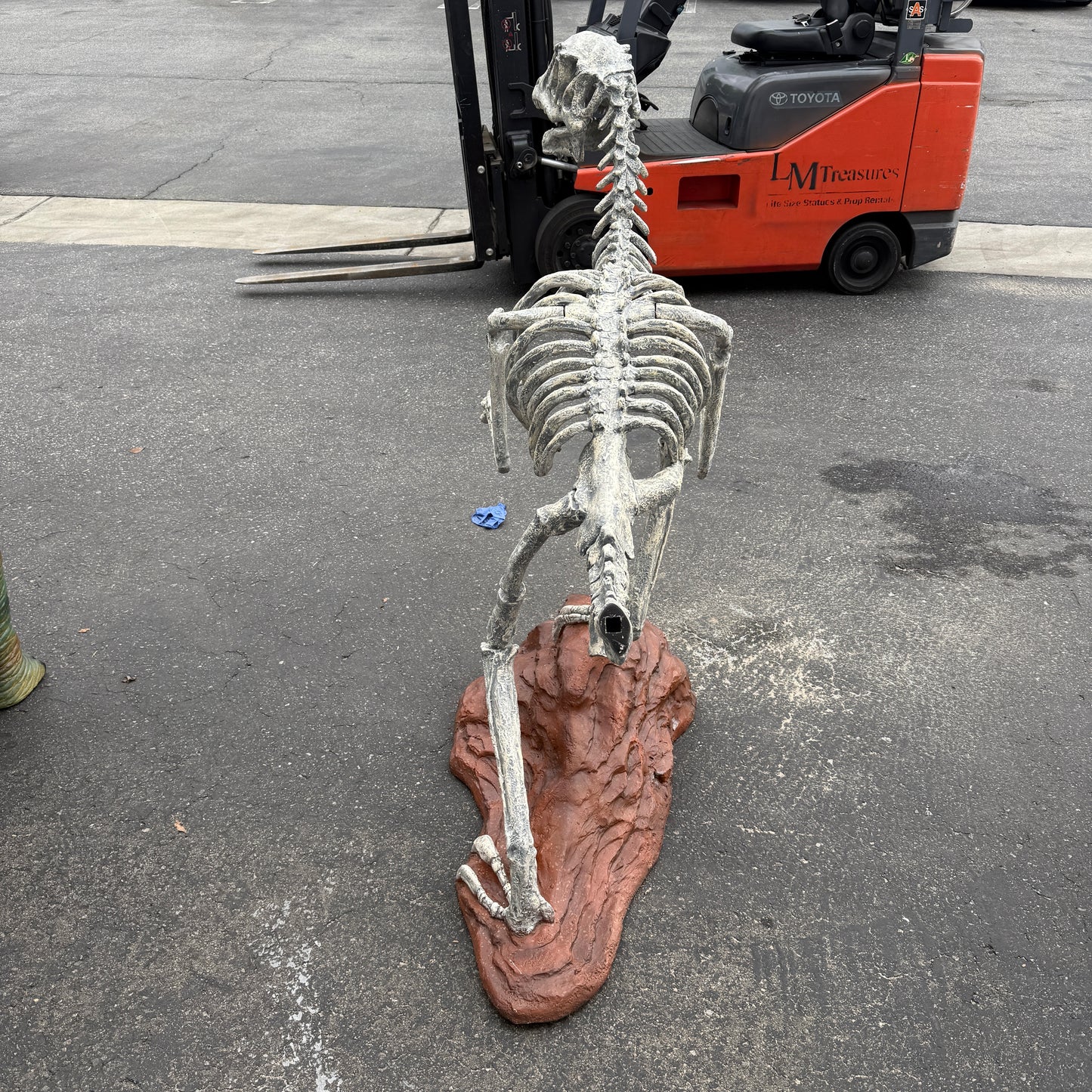 Deinonychus Dinosaur Skeleton Statue