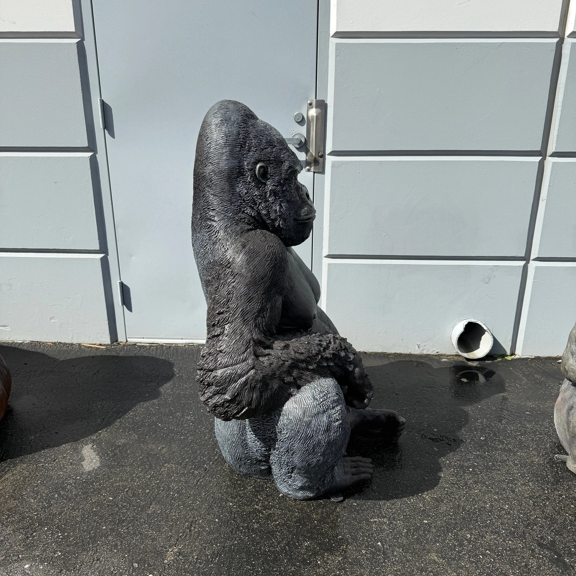 Small Silver Back Gorilla Statue A0131-090009-H