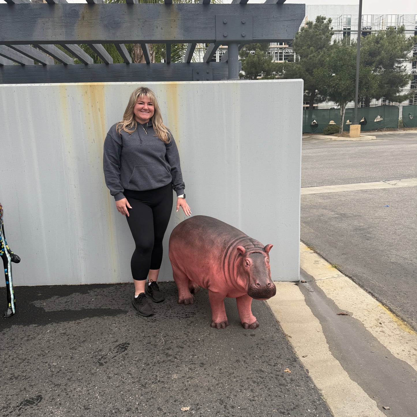 Light Baby Hippo Statue