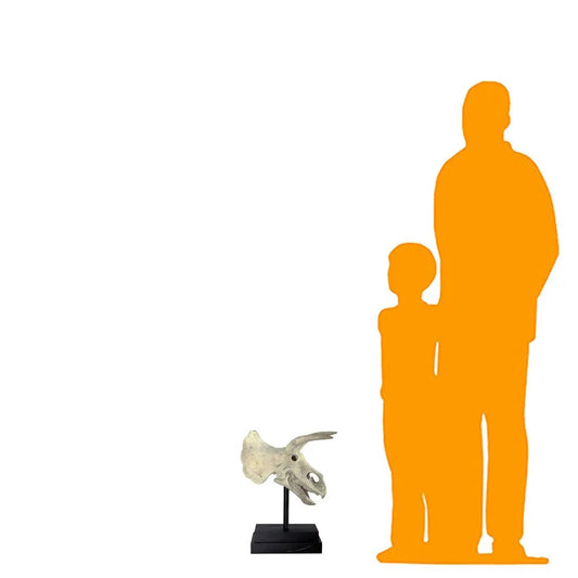 Triceratops Dinosaur Skull Statue M0070-080046-H