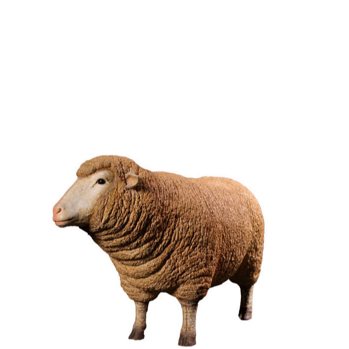 Merino Ewe Statue