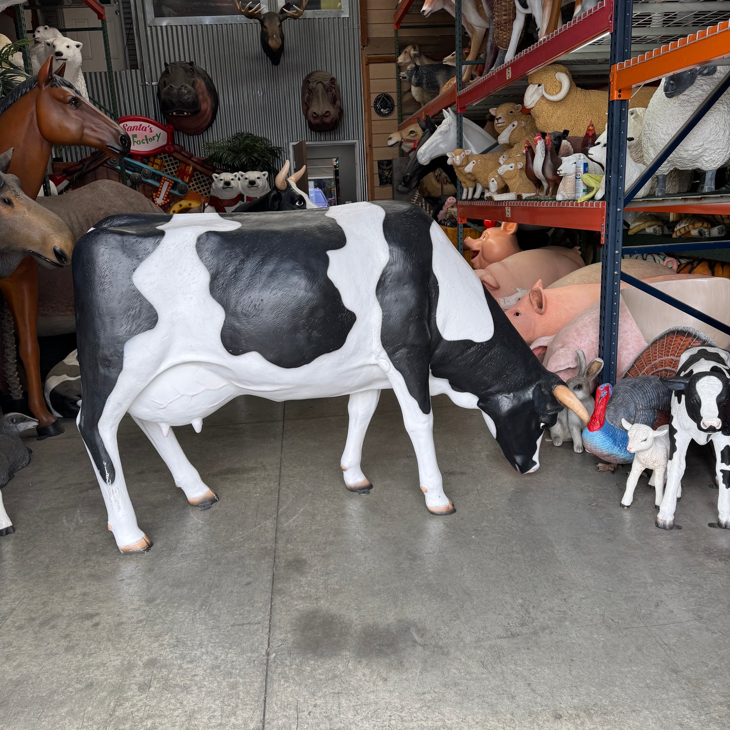 Holstein Cow Grazing Life Size Statue