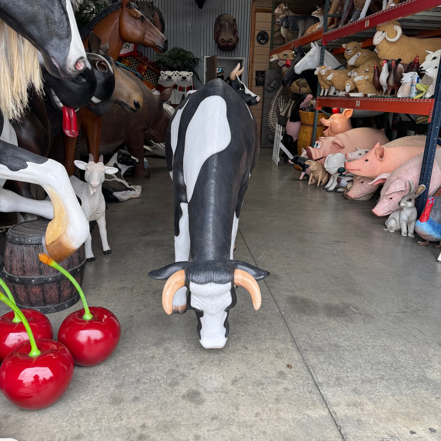 Holstein Cow Grazing Life Size Statue