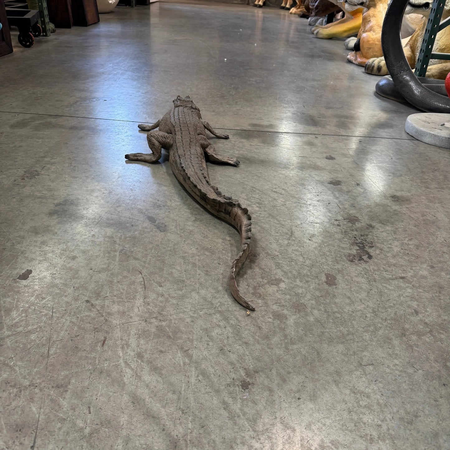 Resting Baby Crocodile Statue A0208-080111-H