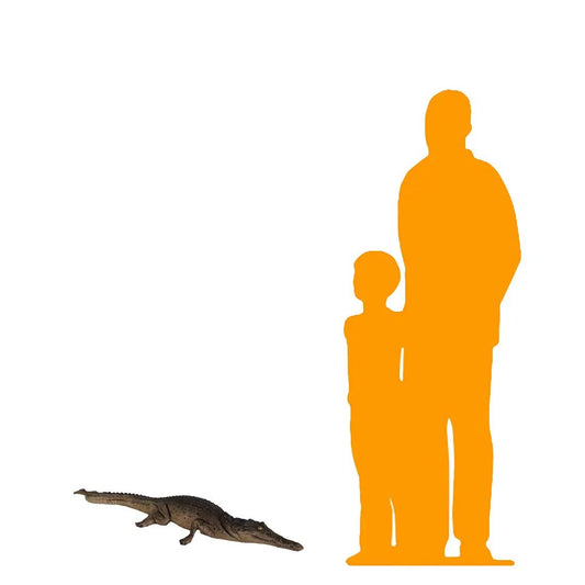 Resting Baby Crocodile Statue A0208-080111-H