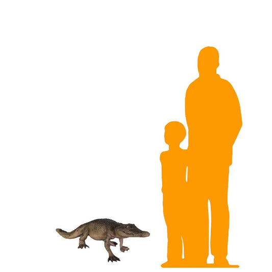 Walking Baby Crocodile Statue A0209-080112-H
