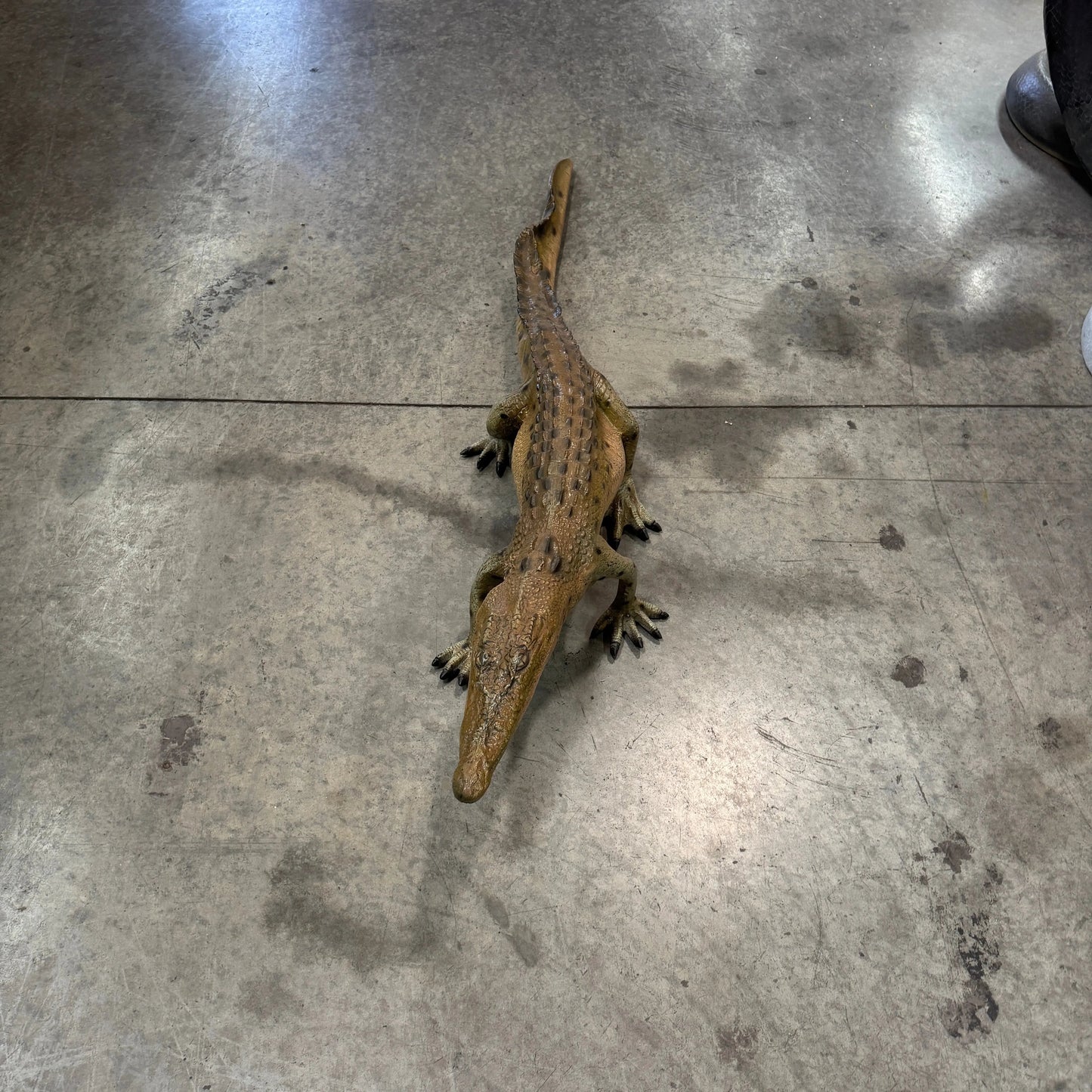 Walking Baby Crocodile Statue A0209-080112-H