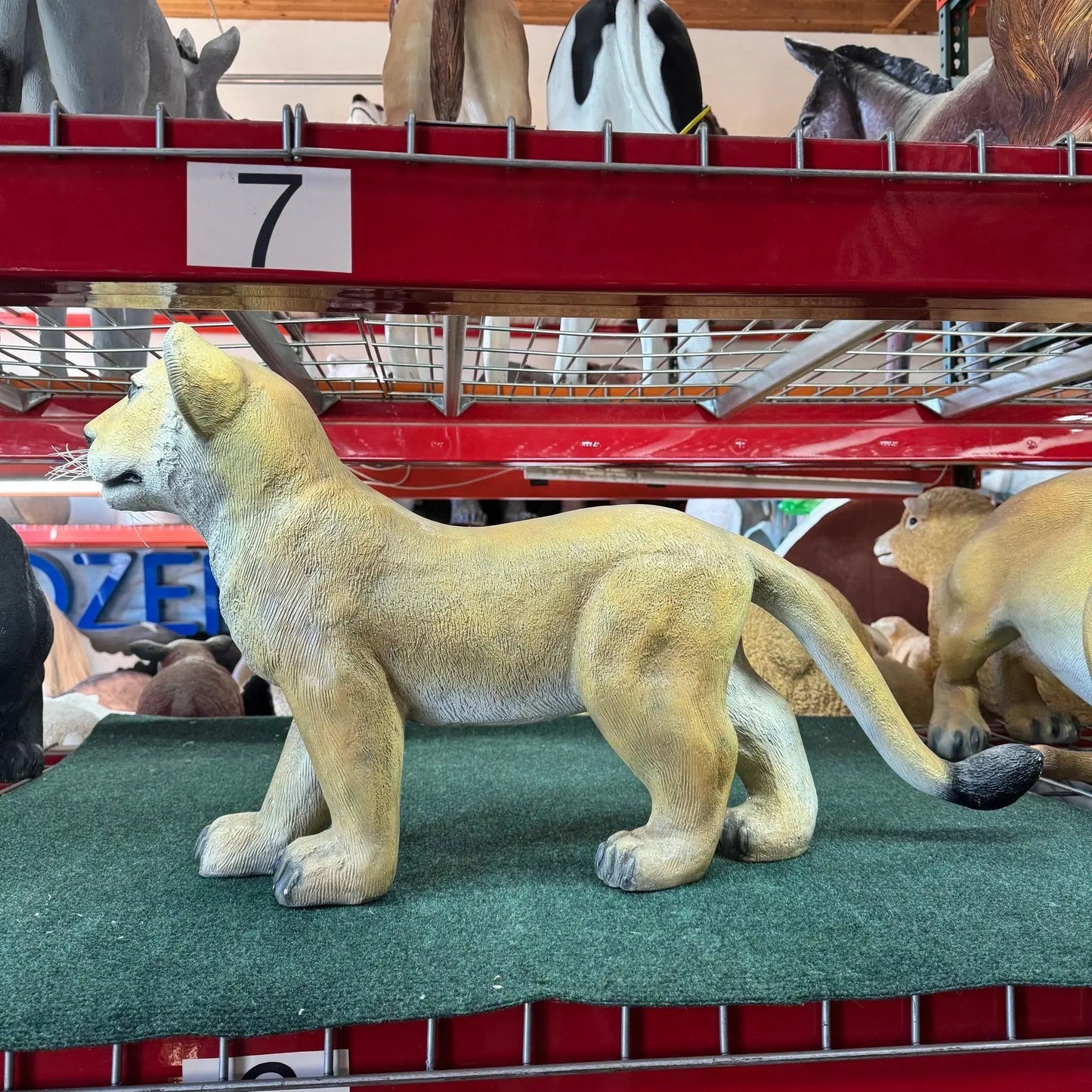 Lion Cub Standing Statue A0265-080117-H