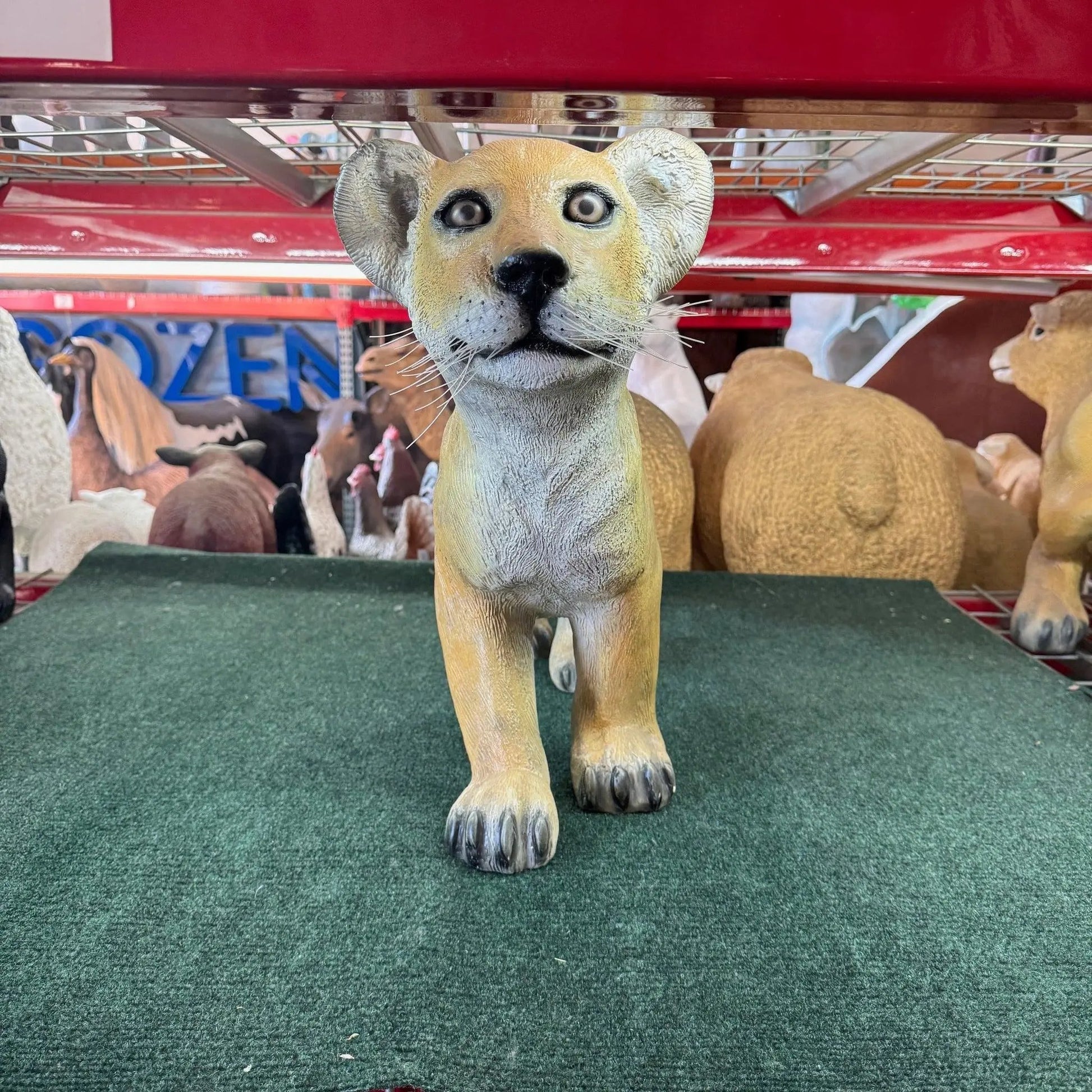 Lion Cub Standing Statue A0265-080117-H