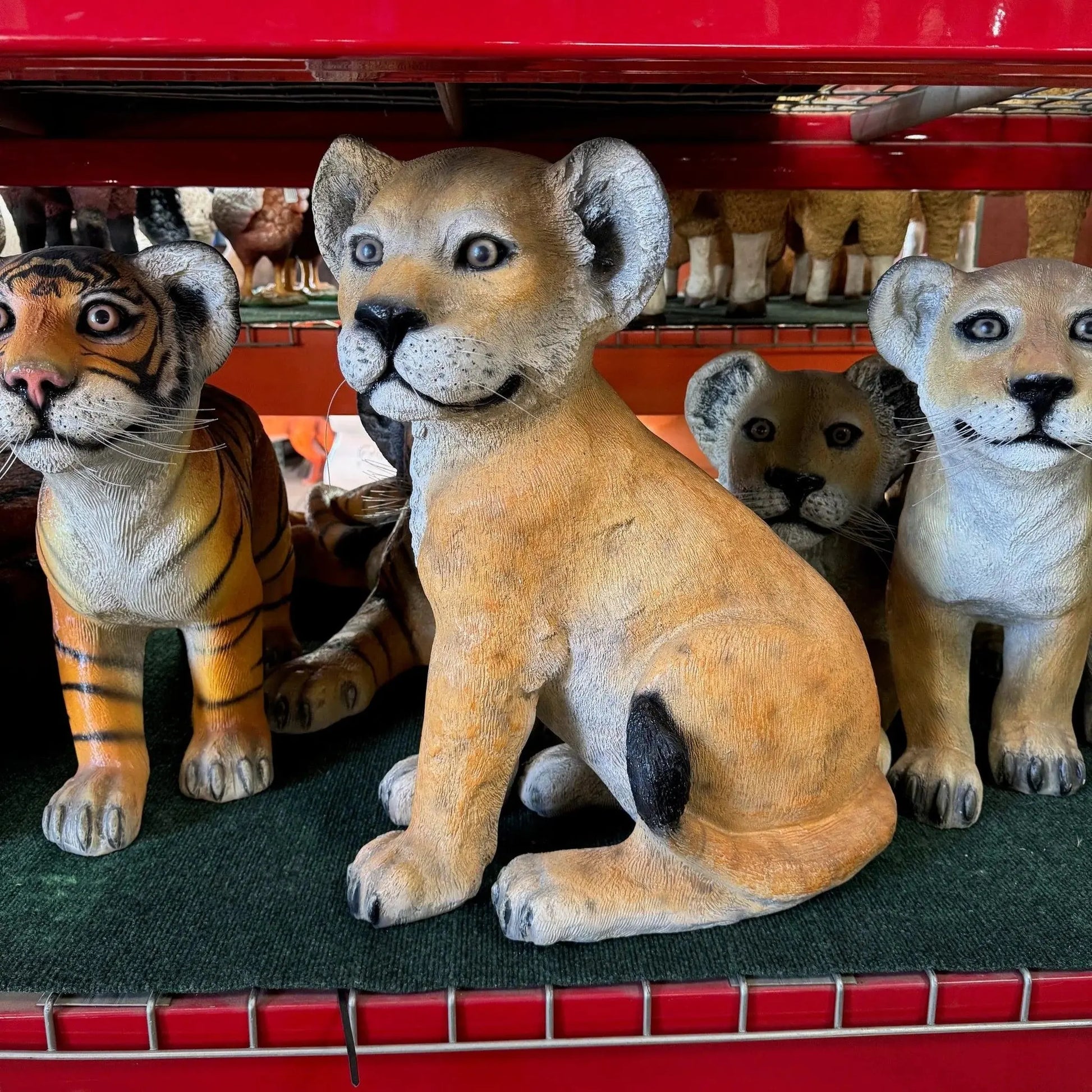 Lion Cub Sitting Statue A0139-080118-H