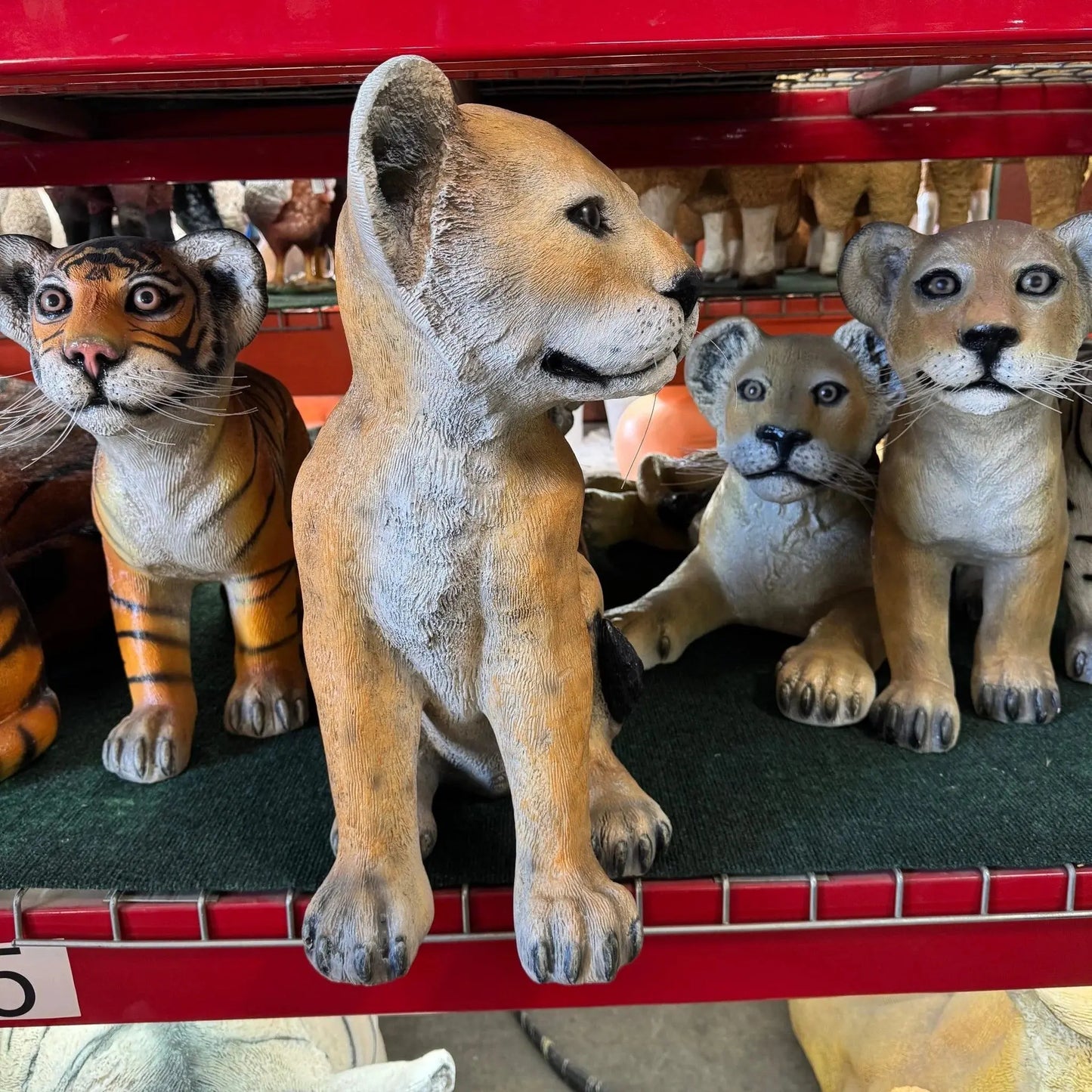 Lion Cub Sitting Statue A0139-080118-H
