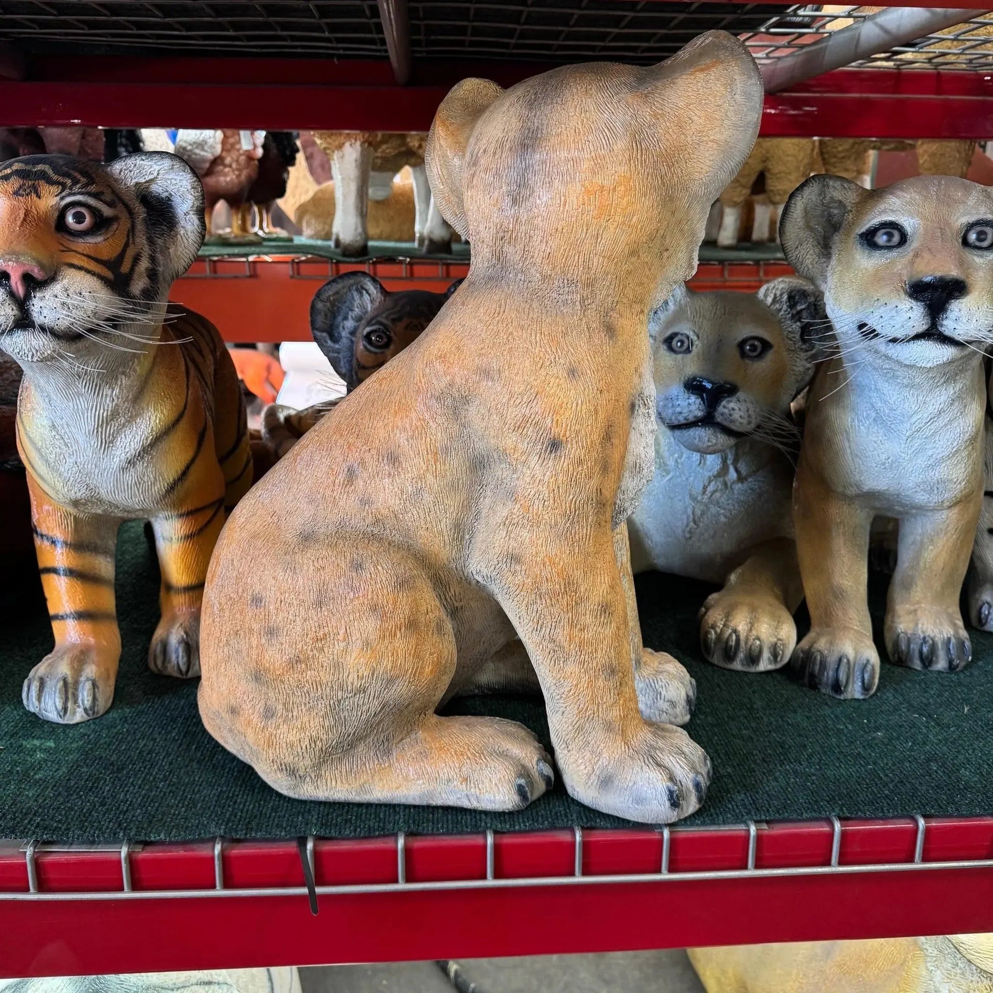 Lion Cub Sitting Statue A0139-080118-H