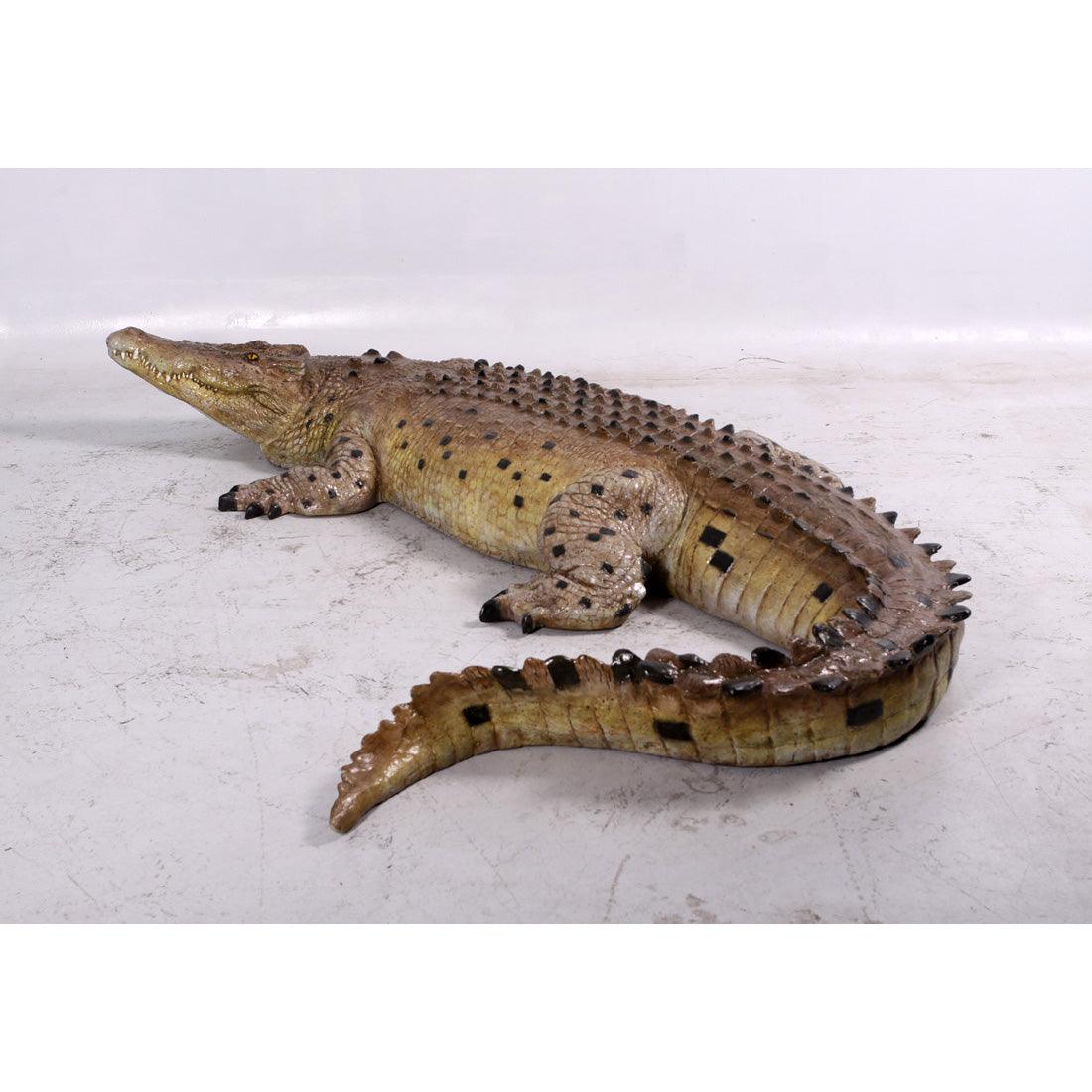 Crocodile Mouth Closed Life Size Statue