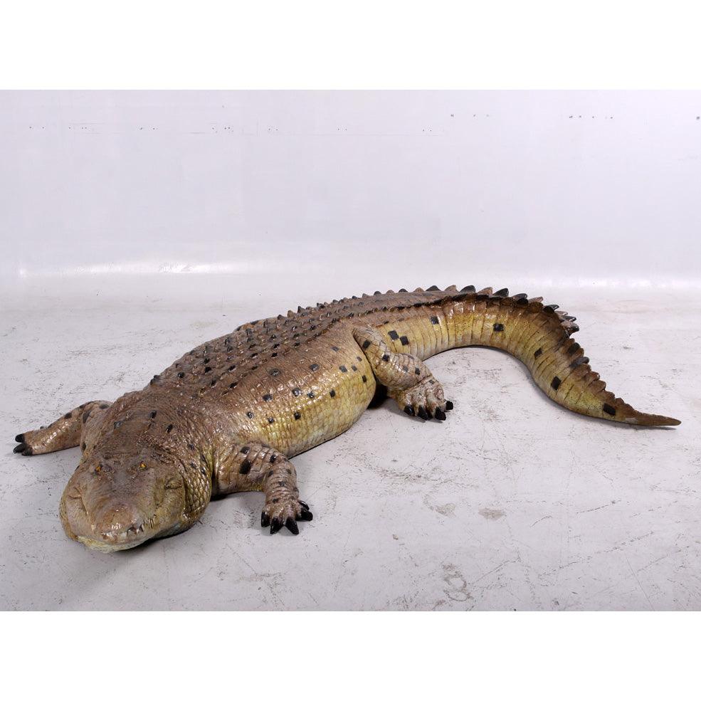 Crocodile Mouth Closed Life Size Statue