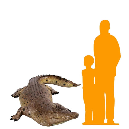 Crocodile Mouth Closed Statue A0239-080123-H