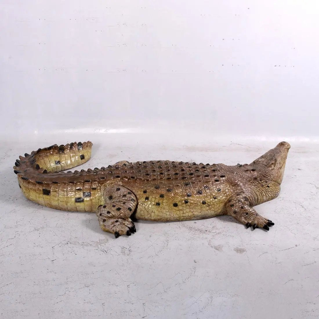 Crocodile Mouth Closed Statue A0239-080123-H