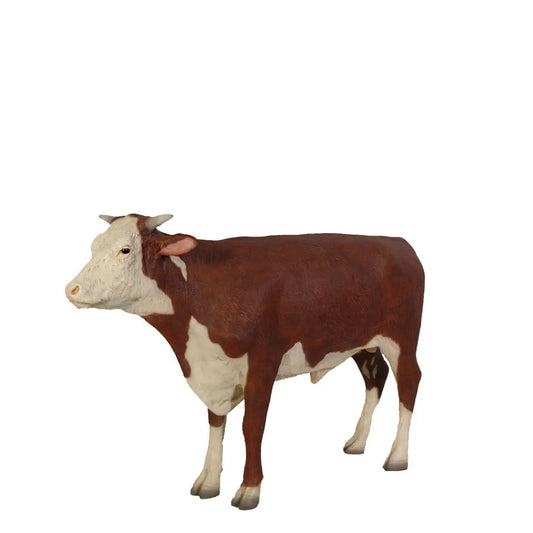 Hereford Steer Cow Life Size Statue A0241-080125-H