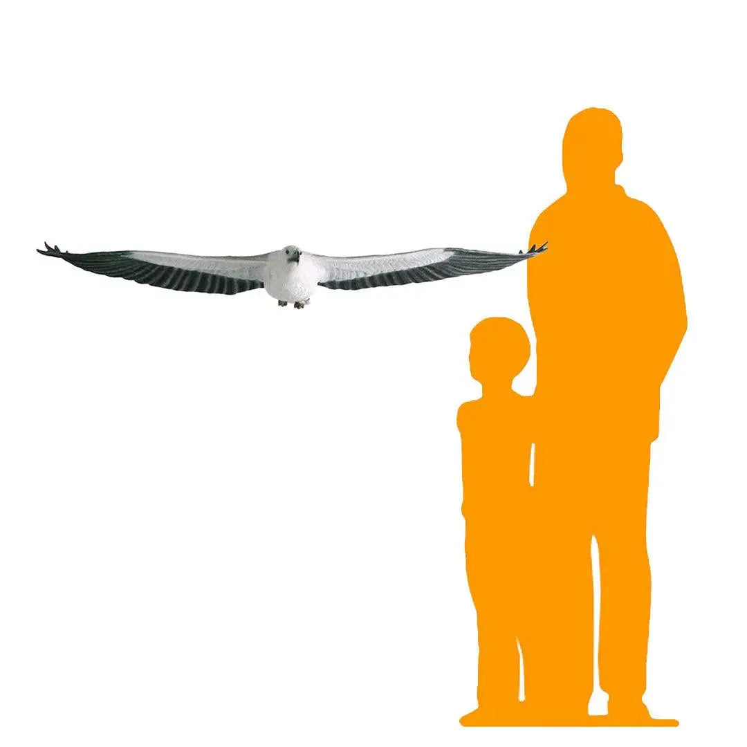 Flying White Breasted Eagle Statue A0266-090018-H