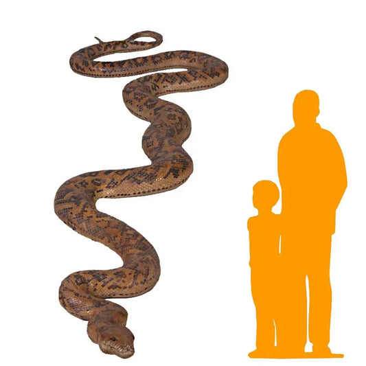 Python Snake Life Size Statue A0143-090021-H
