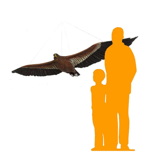 Flying Wedge Tailed Eagle Statue A0268-090046-H