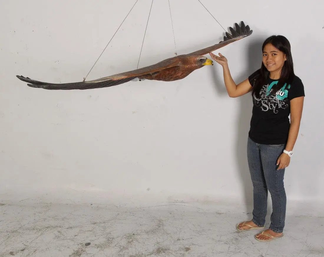 Flying Wedge Tailed Eagle Statue A0268-090046-H