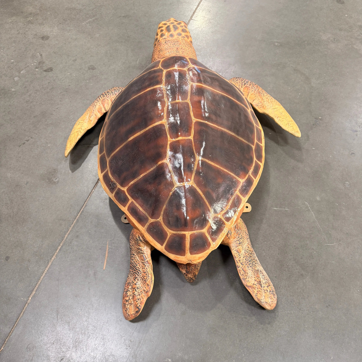 Sea Turtle Statue A0150-090048-H