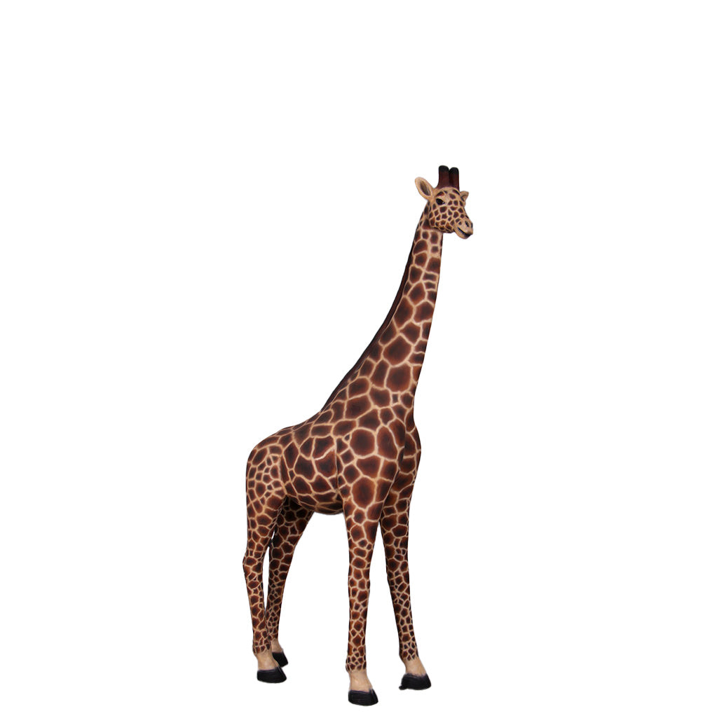 Young Adult Giraffe Statue