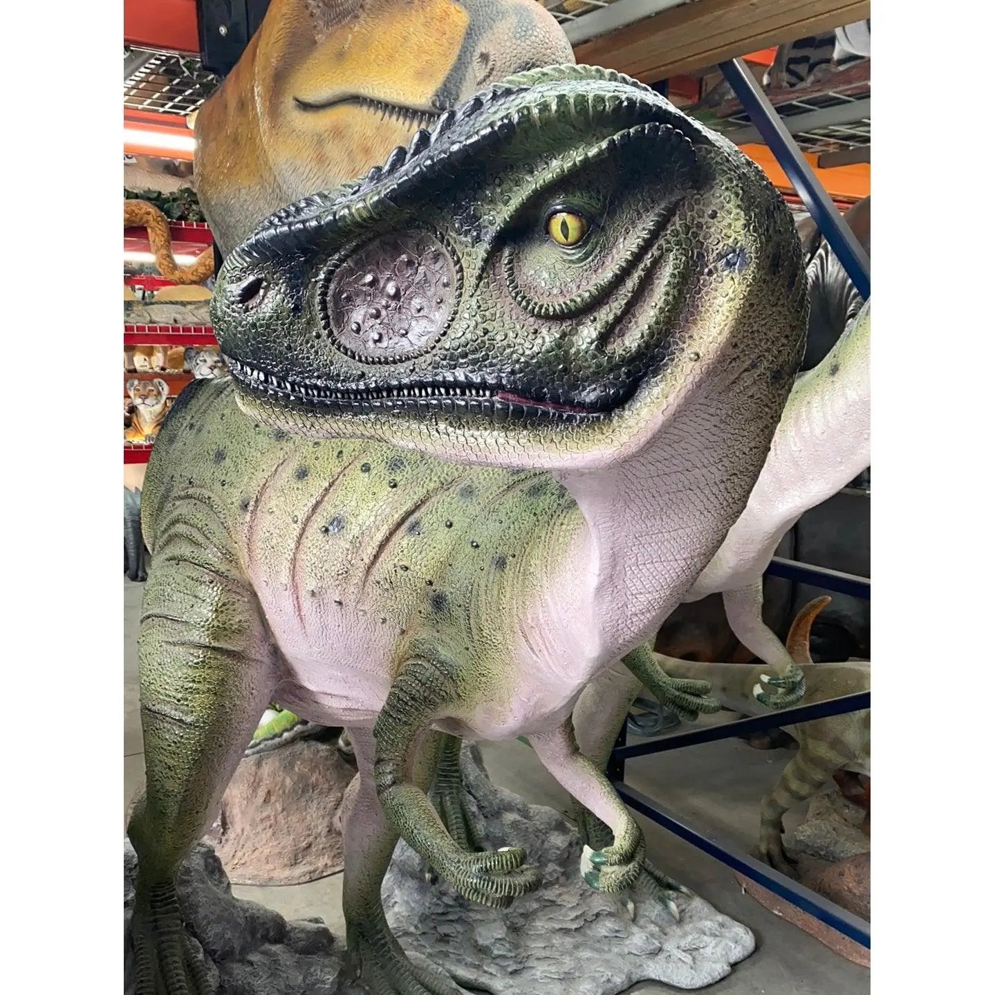 Turned Allosaurus Dinosaur Life Size Statue A0360-090071-H