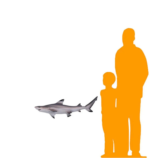Black Tip Shark Statue A0215-100074-H