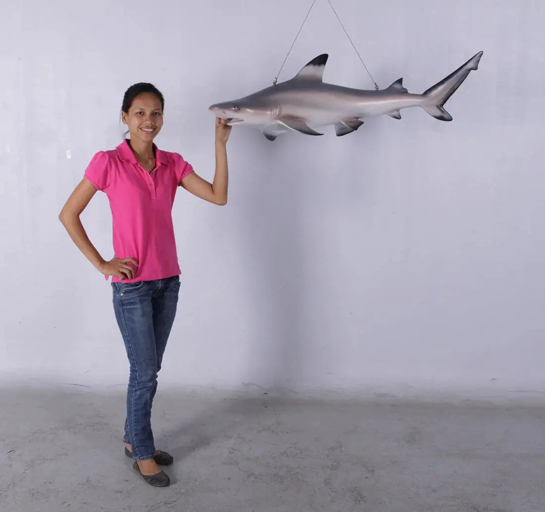 Black Tip Shark Statue A0215-100074-H