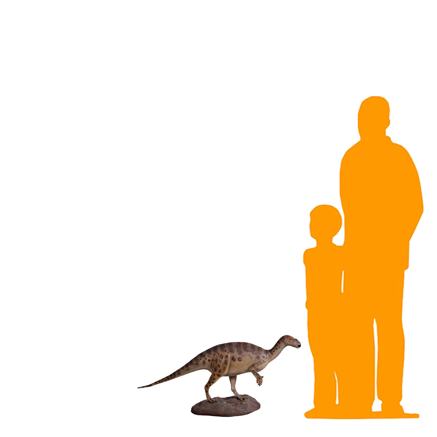 Small Iguanont Dinosaur Statue