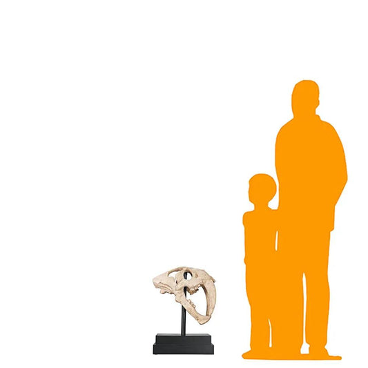 Saber Tooth Skull Statue M0075-100501-H