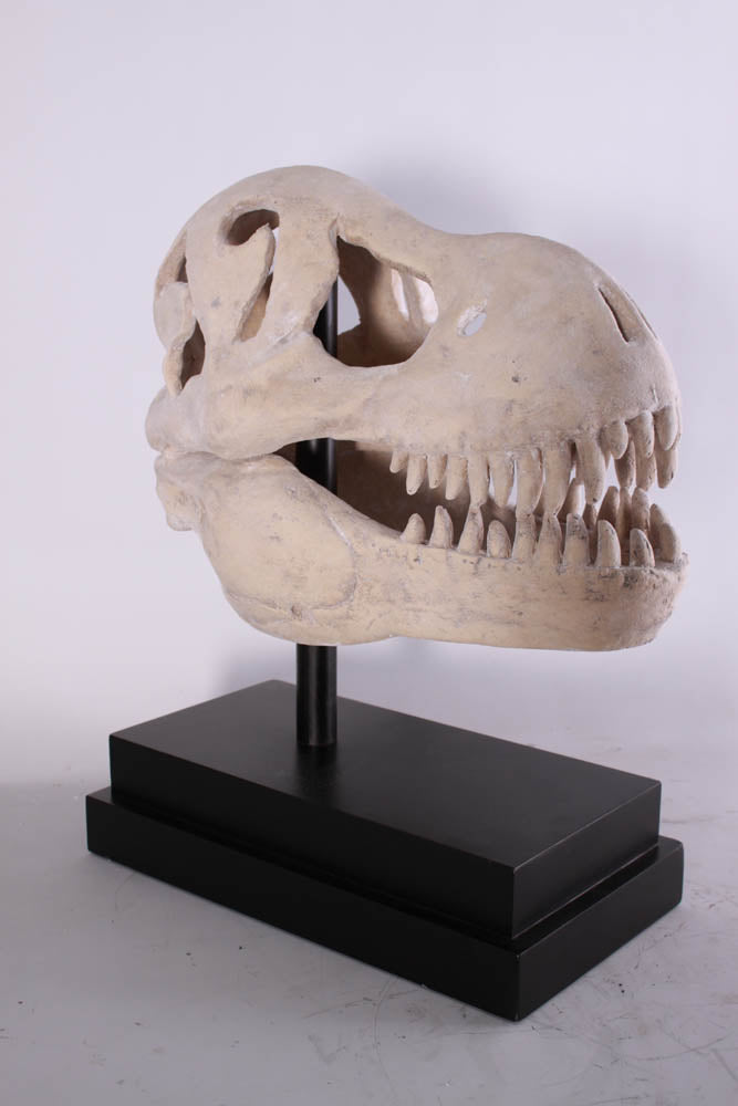T-Rex Dinosaur Skull Statue