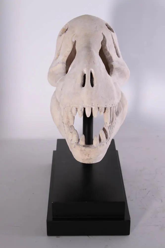 T-Rex Dinosaur Skull Statue M0076-100502-H