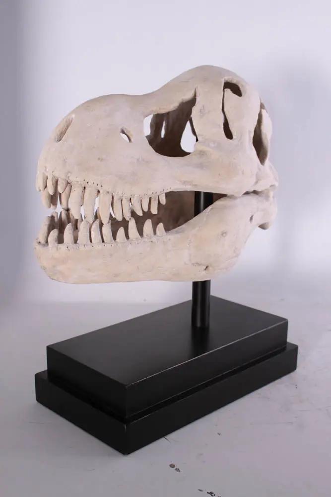 T-Rex Dinosaur Skull Statue M0076-100502-H