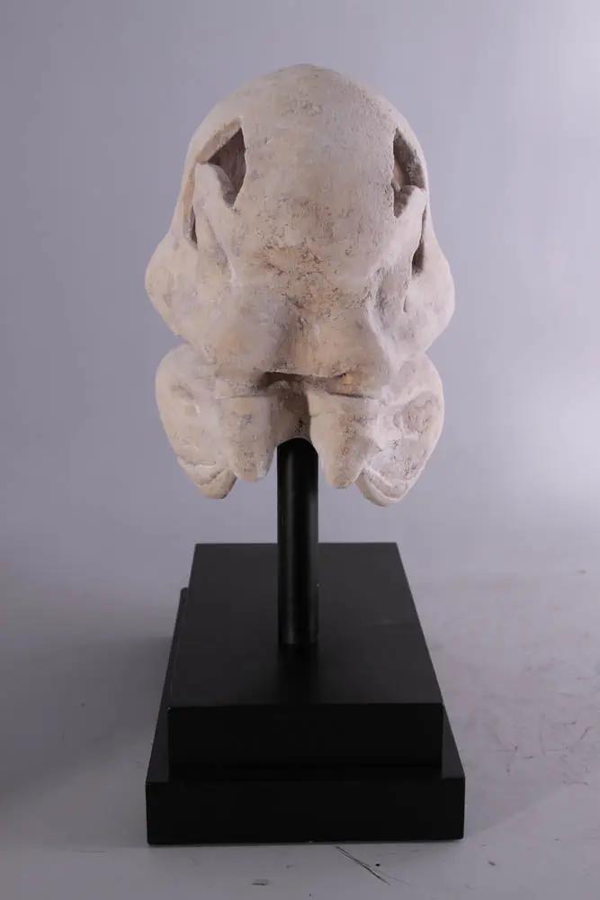T-Rex Dinosaur Skull Statue M0076-100502-H