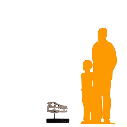 Raptor Dinosaur Skull Statue M0077-100503-H