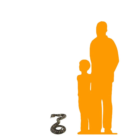 Large Rattlesnake Statue WK-HD10293-D