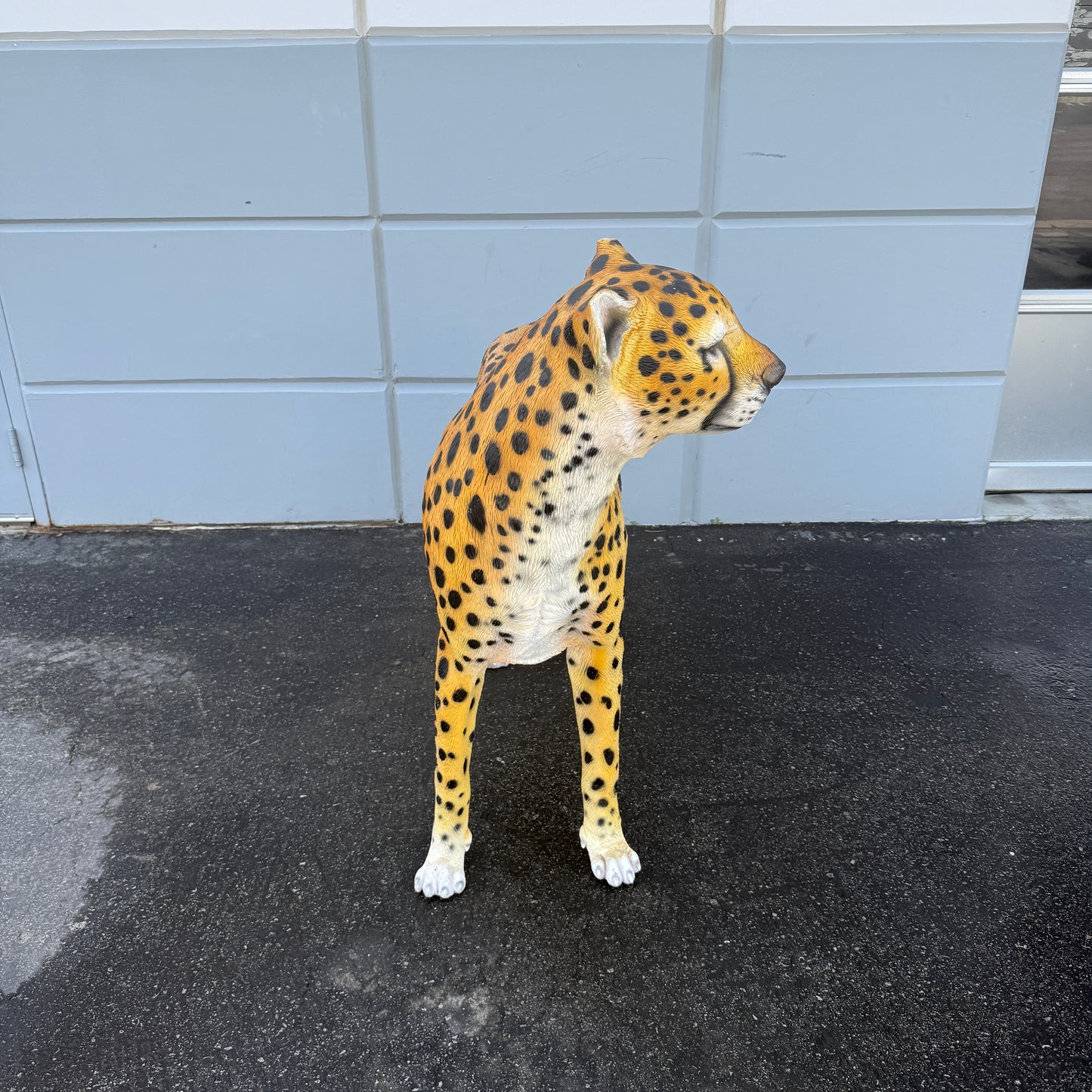 Cheetah Statue