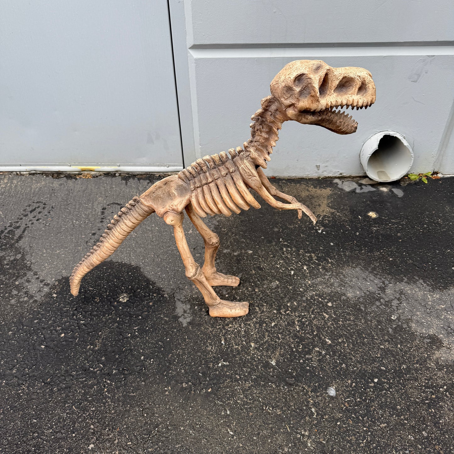 Small T-Rex Dinosaur Skeleton Statue