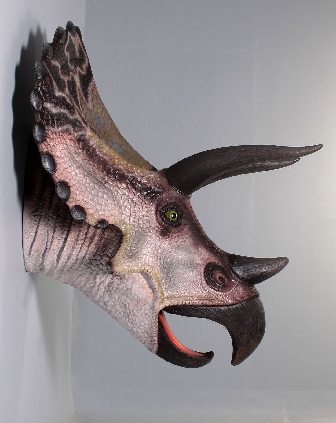 Large Triceratops Dinosaur Head Statue