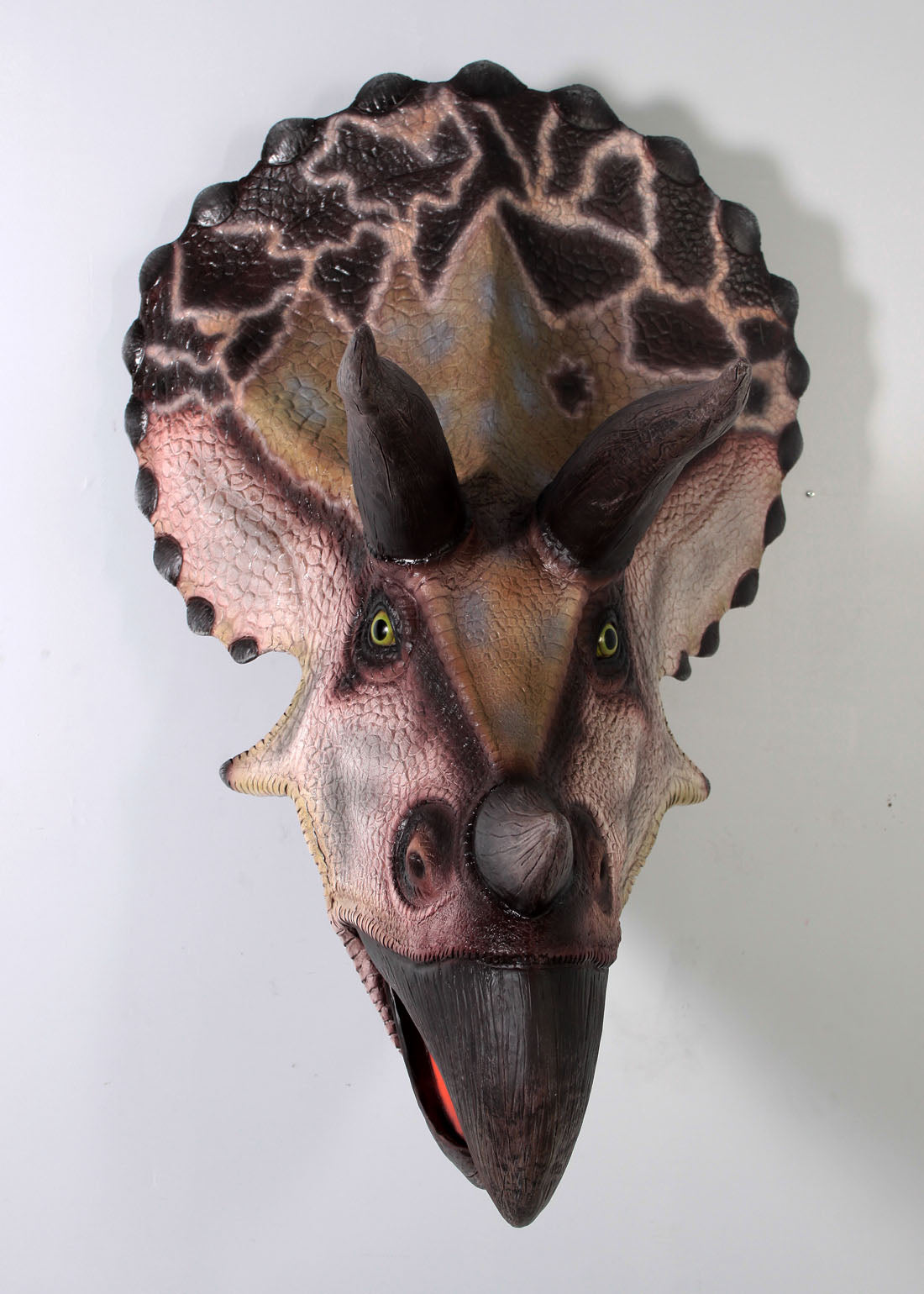Large Triceratops Dinosaur Head Statue